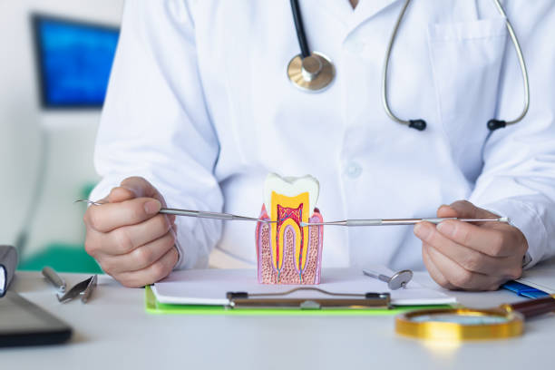 Best Emergency Treatment for Toothache in Gardiner, ME